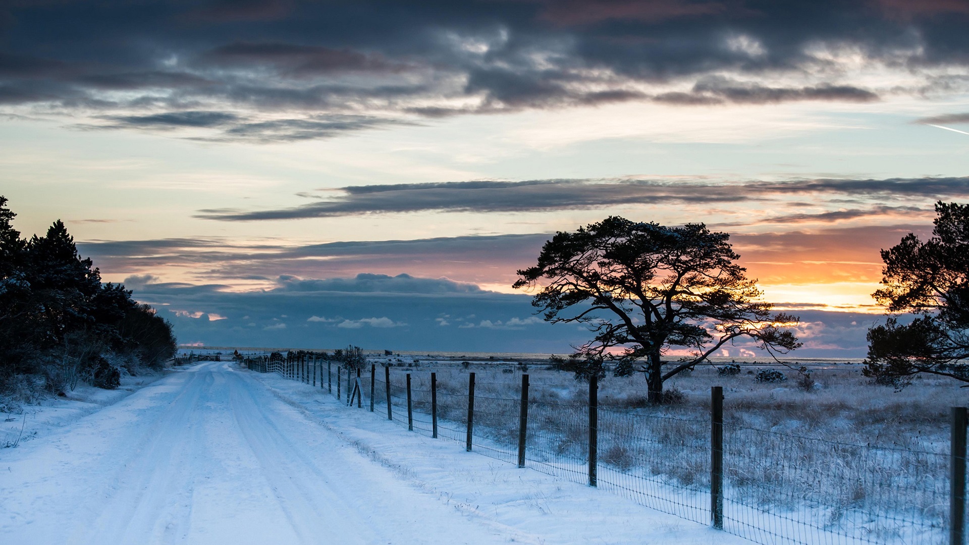 我想寫(xiě)一出最悲的悲劇，里面充滿(mǎn)了無(wú)恥的笑聲。